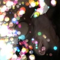 /photo/821763/L P/a11_1_10_small.jpg